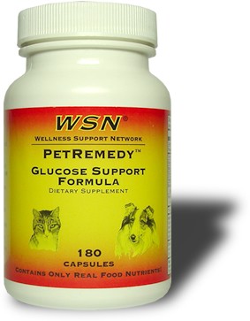 Photo of Wellness Support Network Diabetic Cat Pet Remedy Formula