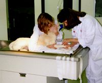 The Deadly Effects of Excess Insulin